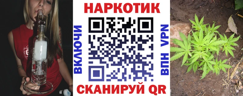 Купить наркотик Пикалёво Гашиш  Cocaine  Меф  Бошки Шишки 