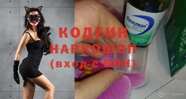 гидра Богородск