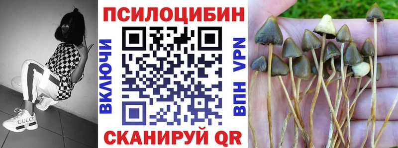 Псилоцибиновые грибы мухоморы Пикалёво